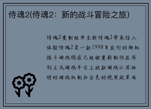 侍魂2(侍魂2:新的战斗冒险之旅)
